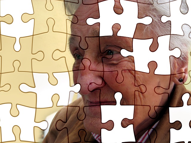 starý člověk, puzzle